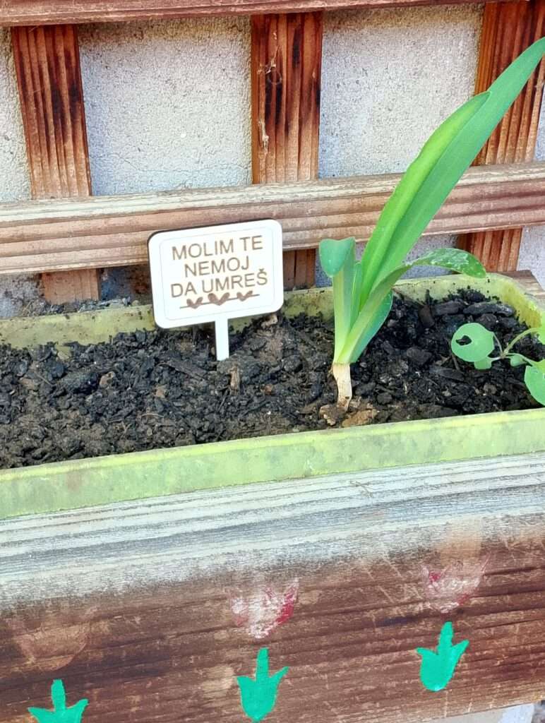 poruka za saksiju